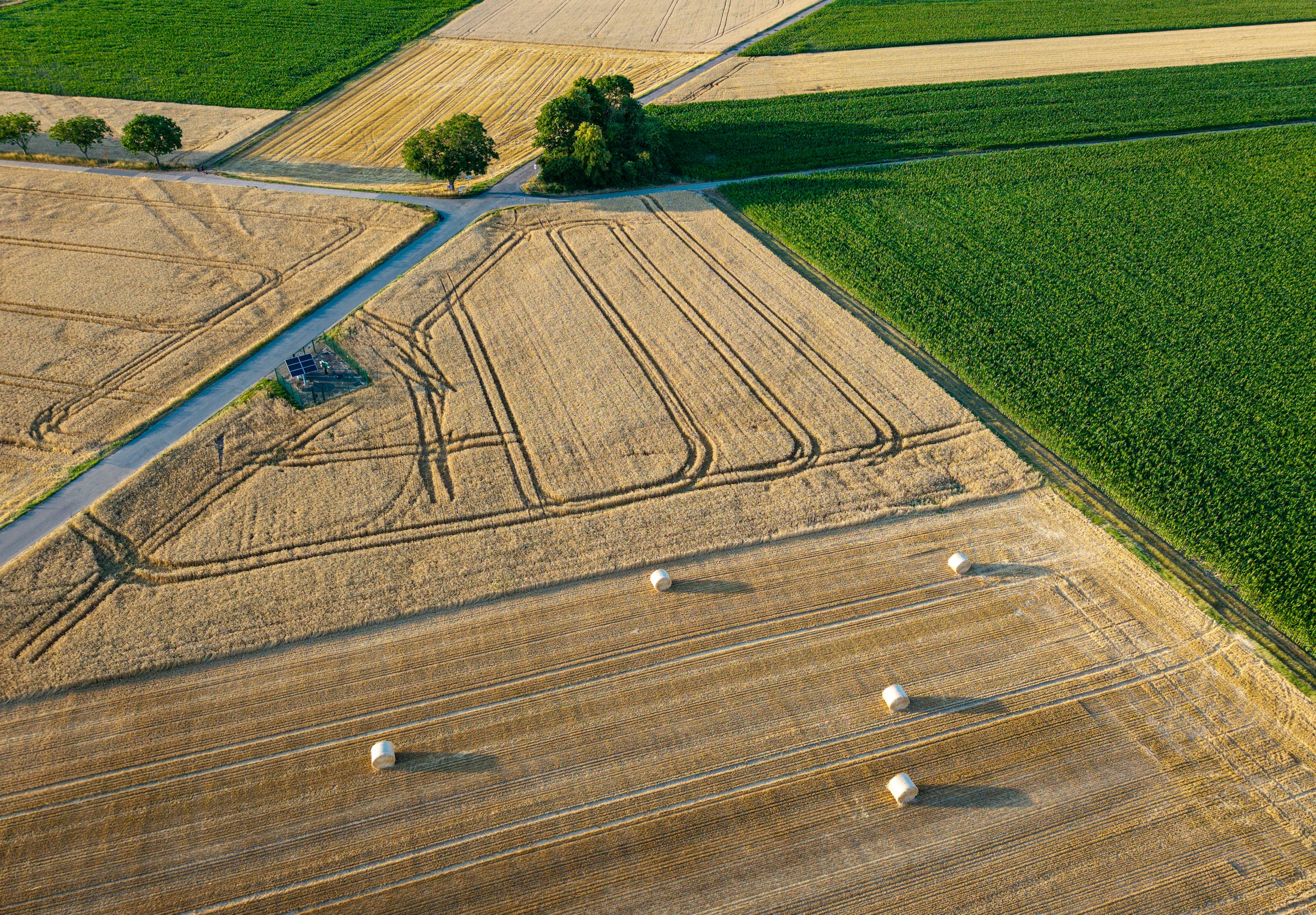 Golden Saskatchewan field at harvest time